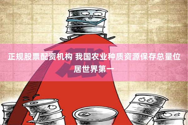 正规股票配资机构 我国农业种质资源保存总量位居世界第一