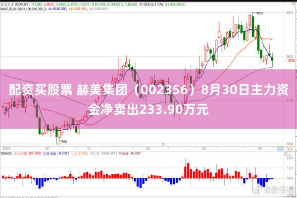 配资买股票 赫美集团（002356）8月30日主力资金净卖出233.90万元