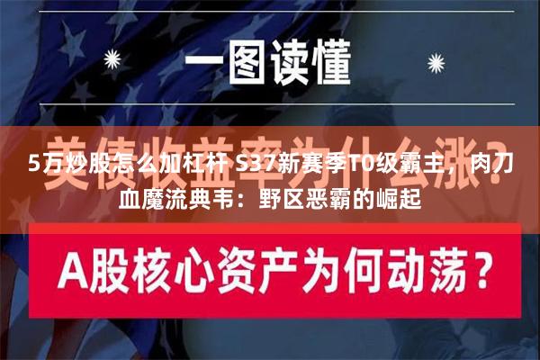 5万炒股怎么加杠杆 S37新赛季T0级霸主，肉刀血魔流典韦：野区恶霸的崛起