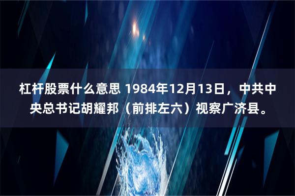 杠杆股票什么意思 1984年12月13日，中共中央总书记胡耀邦（前排左六）视察广济县。