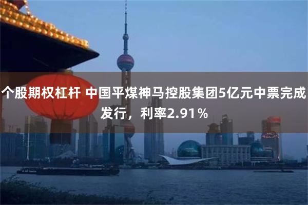 个股期权杠杆 中国平煤神马控股集团5亿元中票完成发行，利率2.91％